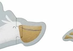 Little Dutch Vormen Puzzel Sailors Bay Puzzel FSC 46 Little Dutch Vormen Puzzel Sailors Bay Puzzel FSC -Exporteren puzzels winkel 550x173