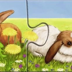 Ravensburger Lieve Dieren- My First Puzzles -9x2 Stukjes - Kinderpuzzel -Exporteren puzzels winkel 550x304 6