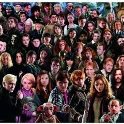 Ravensburger Puzzel Harry Potter Challenge - Legpuzzel - 1000 Stukjes 16 Ravensburger Puzzel Harry Potter Challenge - Legpuzzel - 1000 Stukjes -Exporteren puzzels winkel 550x395