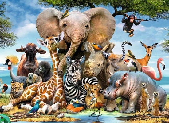 Ravensburger Puzzel Afrikaanse Vrienden - Legpuzzel - 300XXL Stukjes 6 Ravensburger Puzzel Afrikaanse Vrienden - Legpuzzel - 300XXL Stukjes - Afbeelding 4