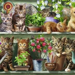 Ravensburger Puzzel Katjes In Het Rek - Legpuzzel - 500 Stukjes -Exporteren puzzels winkel 550x404 31