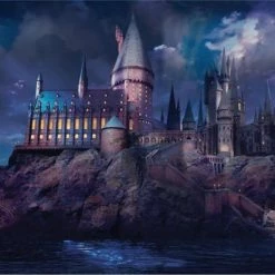 Fat Joe Puzzel 1000 Stukjes Hogwarts By Night - Zweinstein In De Nacht - Harry Potter - Puzzle 1000 Pieces