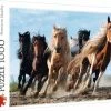 Trefl Paarden In Galop Puzzel - 1000 Stukjes -Exporteren puzzels winkel 550x430 5