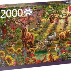 Jumbo Premium Collection Puzzel Magische Bos Bij Zonsondergang - Legpuzzel - 2000 Stukjes 11 Jumbo Premium Collection Puzzel Magische Bos Bij Zonsondergang - Legpuzzel - 2000 Stukjes -Exporteren puzzels winkel 550x458 222