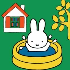 Ravensburger Nijntje. Vier Puzzels -6+9+12+16 Stukjes - Kinderpuzzel -Exporteren puzzels winkel 550x531 1