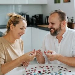 Trefl Panorama Groningen Nederland - 1000 Stukjes -Exporteren puzzels winkel 550x550 395