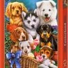 Castorland Legpuzzel Puppies - 1000 Stukjes 1 Castorland Legpuzzel Puppies - 1000 Stukjes -Exporteren puzzels winkel 550x749
