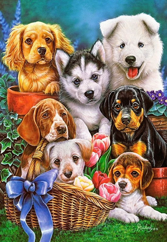 Castorland Legpuzzel Puppies - 1000 Stukjes 4 Castorland Legpuzzel Puppies - 1000 Stukjes - Afbeelding 2